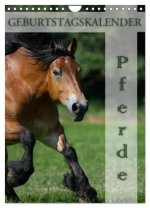 Pferde / Planer (Wandkalender 2026 DIN A4 hoch), CALVENDO Monatskalender