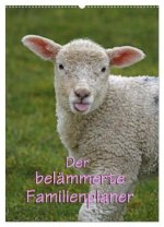 Der belämmerte Familienplaner (Wandkalender 2026 DIN A2 hoch), CALVENDO Monatskalender