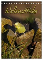 Wellensittiche (Tischkalender 2026 DIN A5 hoch), CALVENDO Monatskalender