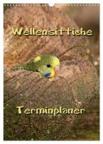 Wellensittiche Terminplaner (Wandkalender 2026 DIN A3 hoch), CALVENDO Monatskalender
