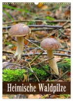 Heimische Waldpilze (Wandkalender 2026 DIN A3 hoch), CALVENDO Monatskalender