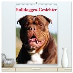 Bulldoggen-Gesichter (hochwertiger Premium Wandkalender 2026 DIN A2 hoch), Kunstdruck in Hochglanz
