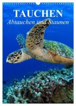 Tauchen - Abtauchen und Staunen (Wandkalender 2026 DIN A3 hoch), CALVENDO Monatskalender