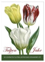 Tulpen - Jahr (Wandkalender 2026 DIN A2 hoch), CALVENDO Monatskalender