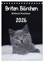Briten Bärchen - Britisch Kurzhaar 2026 (Tischkalender 2026 DIN A5 hoch), CALVENDO Monatskalender