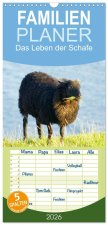 Familienplaner 2026 - Das Leben der Schafe mit 5 Spalten (Wandkalender, 21 x 45 cm) CALVENDO