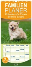 Familienplaner 2026 - Kobolde auf 4 Pfoten - Bolonka Zwetna mit 5 Spalten (Wandkalender, 21 x 45 cm) CALVENDO