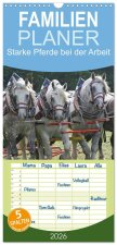 Familienplaner 2026 - Starke Pferde bei der Arbeit mit 5 Spalten (Wandkalender, 21 x 45 cm) CALVENDO