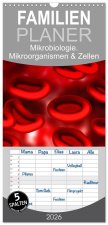 Familienplaner 2026 - Mikrobiologie. Mikroorganismen und Zellen mit 5 Spalten (Wandkalender, 21 x 45 cm) CALVENDO