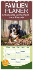 Familienplaner 2026 - Entlebucher Sennenhund - treue Freunde mit 5 Spalten (Wandkalender, 21 x 45 cm) CALVENDO