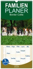 Familienplaner 2026 - Border Collie 2026 mit 5 Spalten (Wandkalender, 21 x 45 cm) CALVENDO