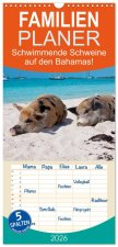 Familienplaner 2026 - Schwimmende Schweine auf den Bahamas! mit 5 Spalten (Wandkalender, 21 x 45 cm) CALVENDO