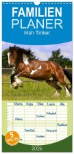 Familienplaner 2026 - Irish Tinker mit 5 Spalten (Wandkalender, 21 x 45 cm) CALVENDO