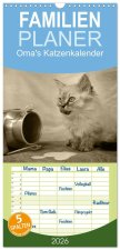Familienplaner 2026 - Oma's Katzenkalender 2026 mit 5 Spalten (Wandkalender, 21 x 45 cm) CALVENDO