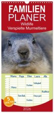 Familienplaner 2026 - Wildlife - Verspielte Murmeltiere mit 5 Spalten (Wandkalender, 21 x 45 cm) CALVENDO