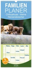 Familienplaner 2026 - Chihuahuas - kleine Herzensbrecher mit 5 Spalten (Wandkalender, 21 x 45 cm) CALVENDO