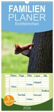 Familienplaner 2026 - Eichhörnchen mit 5 Spalten (Wandkalender, 21 x 45 cm) CALVENDO