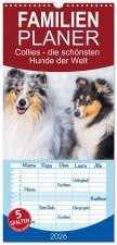 Familienplaner 2026 - Collies - die schönsten Hunde der Welt mit 5 Spalten (Wandkalender, 21 x 45 cm) CALVENDO
