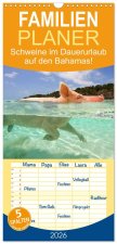 Familienplaner 2026 - Schweine im Dauerurlaub auf den Bahamas! mit 5 Spalten (Wandkalender, 21 x 45 cm) CALVENDO