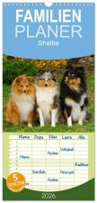 Familienplaner 2026 - Sheltie 2026 mit 5 Spalten (Wandkalender, 21 x 45 cm) CALVENDO