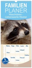 Familienplaner 2026 - Waschbären mit 5 Spalten (Wandkalender, 21 x 45 cm) CALVENDO