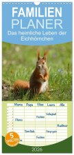 Familienplaner 2026 - Das heimliche Leben der Eichhörnchen mit 5 Spalten (Wandkalender, 21 x 45 cm) CALVENDO