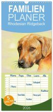 Familienplaner 2026 - Rhodesian Ridgeback 2026 mit 5 Spalten (Wandkalender, 21 x 45 cm) CALVENDO