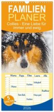 Familienplaner 2026 - Collies - Eine Liebe für immer und ewig mit 5 Spalten (Wandkalender, 21 x 45 cm) CALVENDO