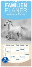 Familienplaner 2026 - Arabische Pferde mit 5 Spalten (Wandkalender, 21 x 45 cm) CALVENDO
