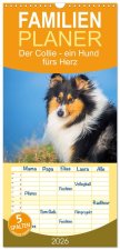 Familienplaner 2026 - Der Collie - ein Hund fürs Herz mit 5 Spalten (Wandkalender, 21 x 45 cm) CALVENDO