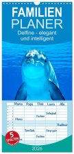 Familienplaner 2026 - Delfine - elegant und intelligent mit 5 Spalten (Wandkalender, 21 x 45 cm) CALVENDO