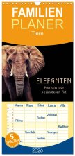 Familienplaner 2026 - Elefanten - Portraits der besonderen Art mit 5 Spalten (Wandkalender, 21 x 45 cm) CALVENDO