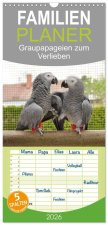 Familienplaner 2026 - Graupapageien zum Verlieben mit 5 Spalten (Wandkalender, 21 x 45 cm) CALVENDO