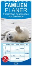 Familienplaner 2026 - Faszination Kegelrobben und Seehunde mit 5 Spalten (Wandkalender, 21 x 45 cm) CALVENDO