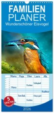 Familienplaner 2026 - Wunderschöner Eisvogel mit 5 Spalten (Wandkalender, 21 x 45 cm) CALVENDO