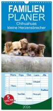 Familienplaner 2026 - Chihuahuas - kleine Herzensbrecher mit 5 Spalten (Wandkalender, 21 x 45 cm) CALVENDO