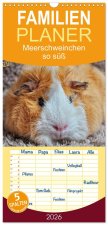 Familienplaner 2026 - Meerschweinchen - so süß mit 5 Spalten (Wandkalender, 21 x 45 cm) CALVENDO
