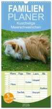 Familienplaner 2026 - Kuschelige Meerschweinchen mit 5 Spalten (Wandkalender, 21 x 45 cm) CALVENDO