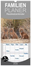 Familienplaner 2026 - Raubkatzenkinder mit 5 Spalten (Wandkalender, 21 x 45 cm) CALVENDO