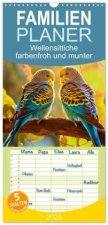 Familienplaner 2026 - Wellensittiche farbenfroh und munter mit 5 Spalten (Wandkalender, 21 x 45 cm) CALVENDO