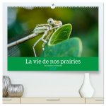 La vie de nos prairies - Demoiselles et libellules  (Calendrier mural 2026 DIN A2 vertical) calendrier de bureau