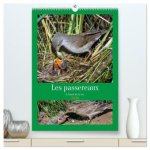 Les passereaux à l'orée de la vie  (Calendrier mural 2026 DIN A2 horizontal) calendrier de bureau