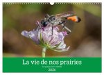 La vie de nos prairies - Les guêpes et les abeilles (Calendrier mural 2026 DIN A3 vertical), CALVENDO calendrier mensuel