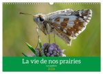 La vie de nos prairie, les papillons (Calendrier mural 2026 DIN A3 vertical), CALVENDO calendrier mensuel