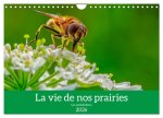 La vie de nos prairie, les ombellifères (Calendrier mural 2026 DIN A4 vertical), CALVENDO calendrier mensuel