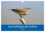 Les habitants de Lesbos Ile des cyclades (Calendrier mural 2026 DIN A4 vertical), CALVENDO calendrier mensuel