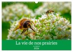 La vie de nos prairies - Les diptères (Calendrier mural 2026 DIN A3 vertical), CALVENDO calendrier mensuel