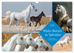 White Horses in Splendor (Wall Calendar 2026 DIN A3 landscape), CALVENDO 12 Month Wall Calendar