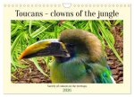 Toucans - clowns of the jungle (Wall Calendar 2026 DIN A4 landscape), CALVENDO 12 Month Wall Calendar