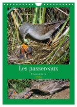 Les passereaux à l'orée de la vie (Calendrier mural 2026 DIN A4 horizontal), CALVENDO calendrier mensuel